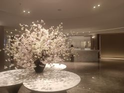 -广州美莱医疗美容医院