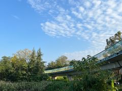 -白鹭湾湿地公园