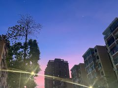 -珠江夜游西堤码头