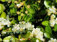 -宜兴龙背山森林公园