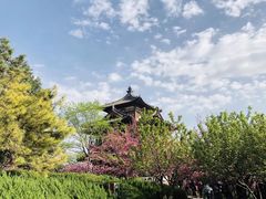-西安青龙寺遗址景区