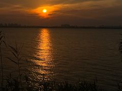 -阳澄湖半岛旅游度假区