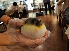 -肆月河豚·新淮扬(金融街店)