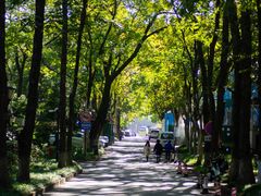 -浙江大学(玉泉校区)