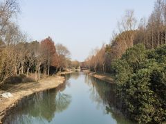 -贡湖湾湿地公园