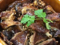 钵仔碌鹅-鸽王世家(东华东路店)