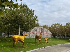 -上海海湾国家森林公园