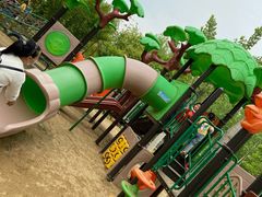 -合肥滨湖国家森林公园