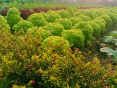 -中国天府农业博览园