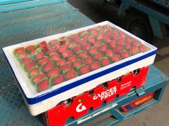 -东方鼎信农副产品交易中心