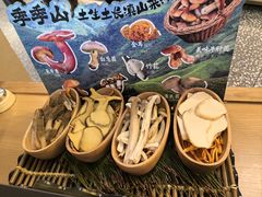 -季季山•云南野生菌火锅(上海首店)
