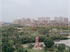 -前关湿地公园