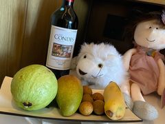 -三亚亚龙湾万豪度假酒店