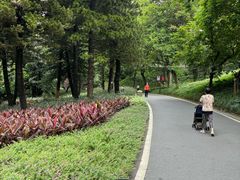 -广州雕塑公园
