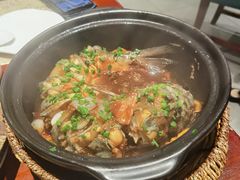 -金龙寨(解西店)