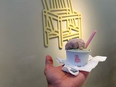 阳山水蜜桃-红楼HONGLOU Gelato(淮海中路店)