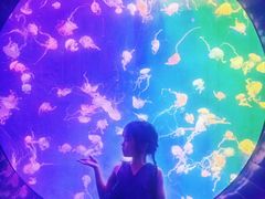 -成都浩海立方海洋公园