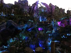 -奥兰多迪士尼动物王国乐园