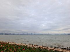 -深圳湾公园(南山区)