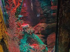 -沈阳海洋探索中心