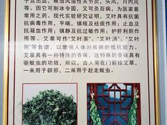 -龙里油画大草原旅游区