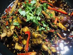 -渔遭殃鱼馆(黄桷垭店)