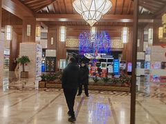 -宜春明月山维景国际温泉度假酒店