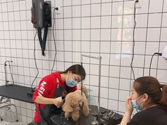 -BABIT巴比特宠物(MOMOPARK店)