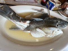 -长润·濑尿烧鹅