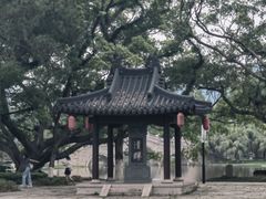 -江心屿景区