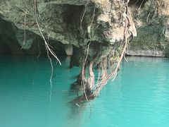 -三门海