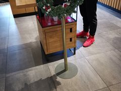 -星巴克臻选(重庆沙坪坝店)