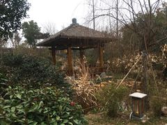 -天屿湖