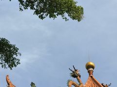 -深圳龙潭公园