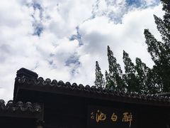 -上海醉白池公园