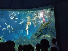-海合安武汉极地海洋公园
