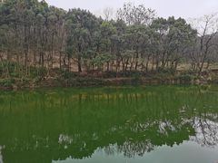 -张鸟园农家乐(张鸟园店)
