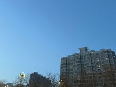 -民杨抓饭(柏香苑店)