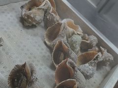 -福禧荟·海鲜自助