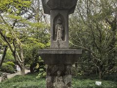 -汇龙潭