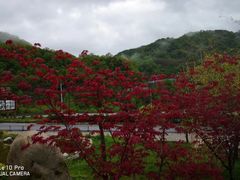 -青峰峡国家森林公园