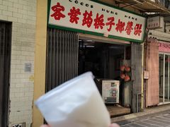 -洪馨椰子
