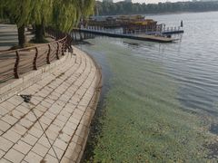 -长春市南湖公园