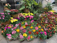 -听香·678茶铺(猛追湾店)