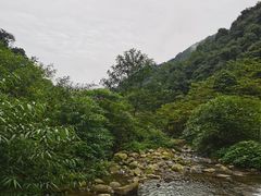 -龙窝子