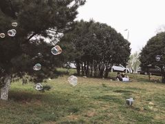 -灞河西岸滨河公园