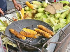 -报恩寺(平武县)