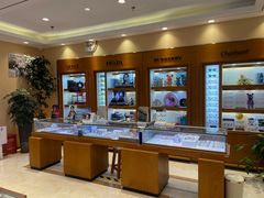 -苏进眼镜(翰林店)