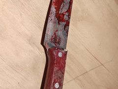 -猫尾侦探俱乐部·剧本杀·狼人杀