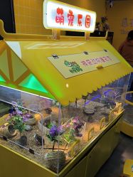 -神奇动物撸宠馆·羊驼·小浣熊·异宠(豫园店)